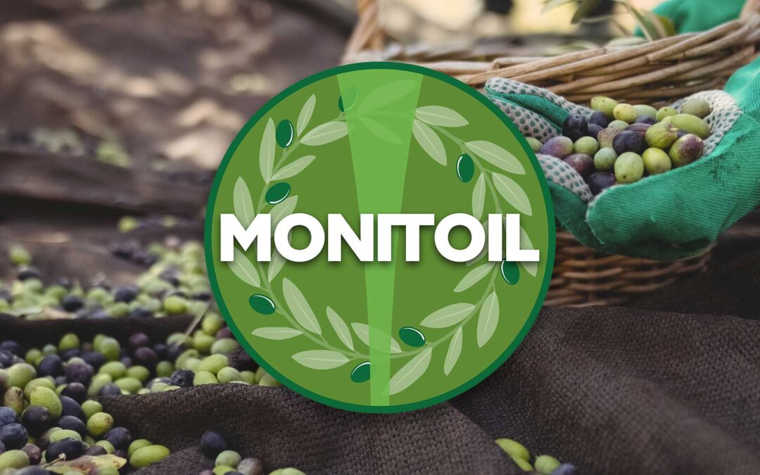 Monitoil su Olivo e Olio. I necessari cambiamenti per una moderna olivicoltura