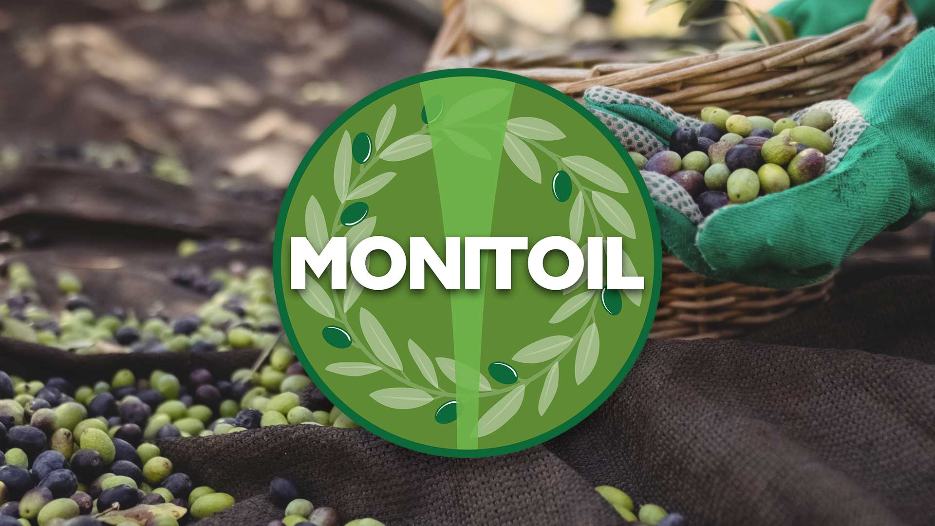 monitoil_slider-pagine_1920x1080