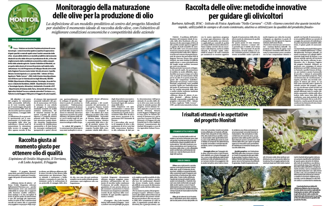 Monitoraggio della maturazione delle olive per la produzione di olio. Speciale Monitoil su Dimensione Agricoltura di aprile 2025